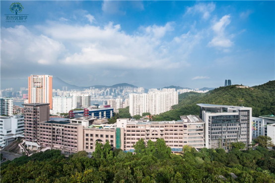 香港的國際學校真的這么高不可攀？不買債券就別想讀？