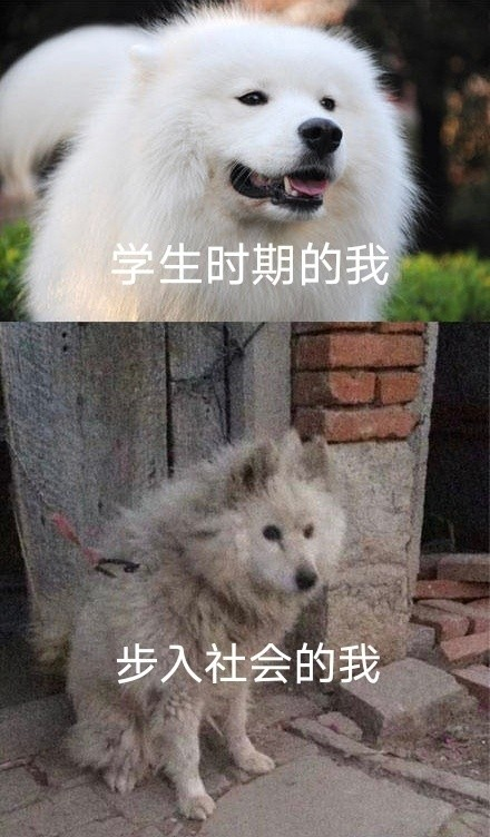 雙非大三，績點(diǎn)低，想去香港留學(xué)來得及嗎？怎么補(bǔ)救？