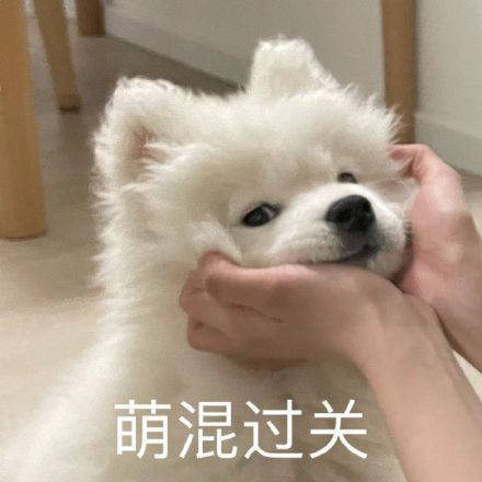 雙非大三，績點(diǎn)低，想去香港留學(xué)來得及嗎？怎么補(bǔ)救？