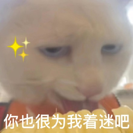 雙非大三，績點(diǎn)低，想去香港留學(xué)來得及嗎？怎么補(bǔ)救？