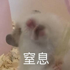 為什么不建議家境普通的學(xué)生讀商科？