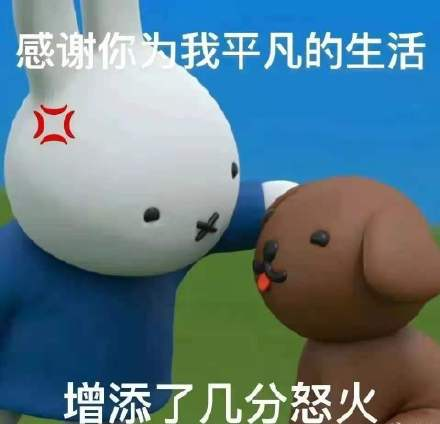 為什么不建議家境普通的學(xué)生讀商科？