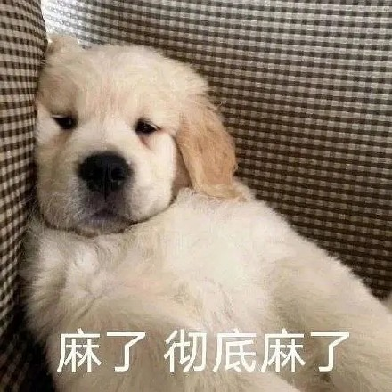 留學(xué)生10大最難學(xué)專業(yè)，金融竟然是最后一名？