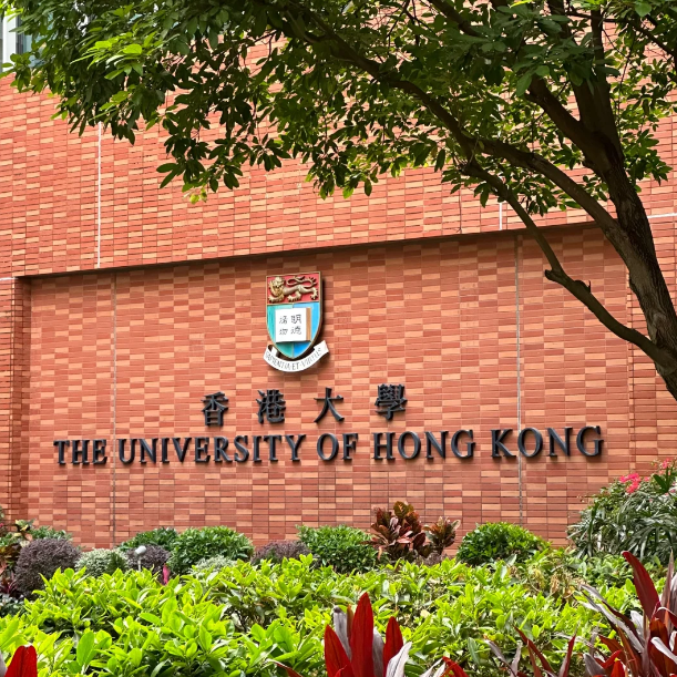 香港大學(xué)25Fall新增11個專業(yè)，盤點申請要求！